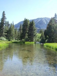 Looking downstream on Rock Creek.