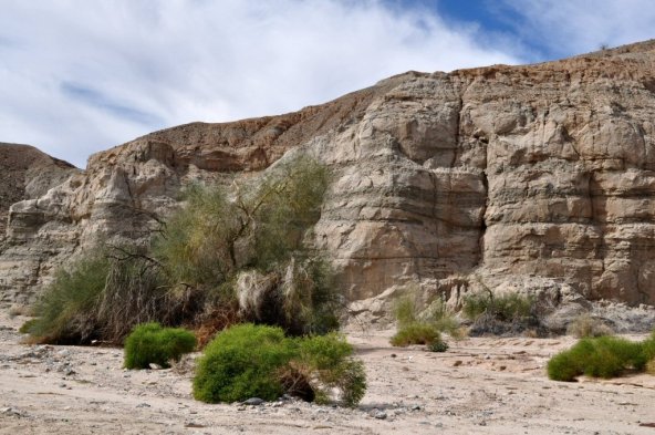 A beauty of its own.