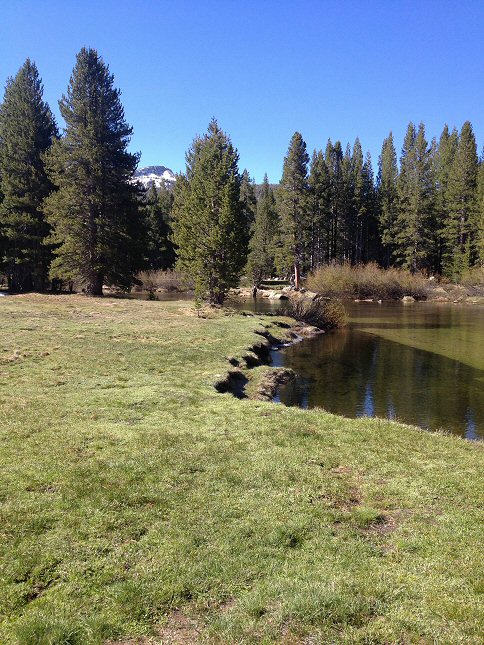 The Tuolumne River, with Sean in the far background.