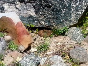 A not-so-nice surprise.