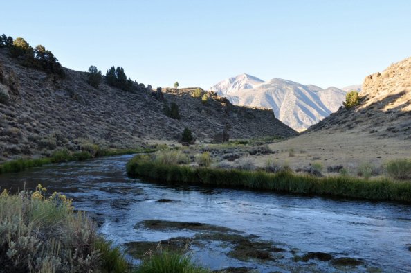 Early morning on Hot Creek, looking west to the Sierras.