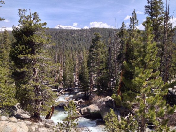 Another view, looking down river.