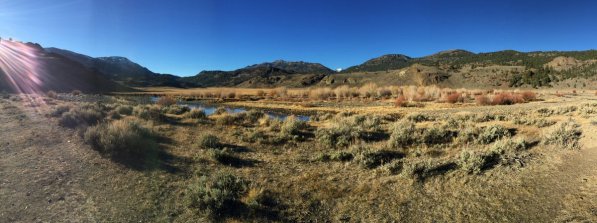 My "office" for the morning. (West Walker River)