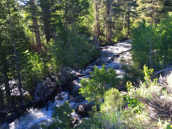 2016.06.25.6.Little Walker River