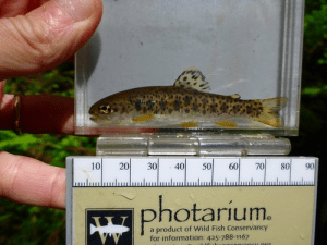 Keeping little guys comfy.