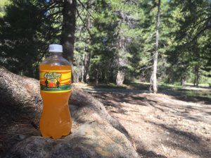 Cactus Cooler 2017.08.24