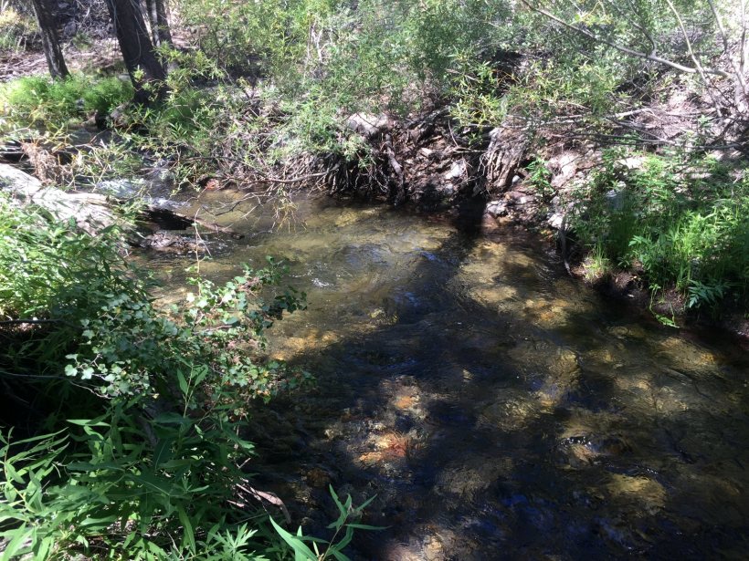 Deadman Creek 2017.08.24