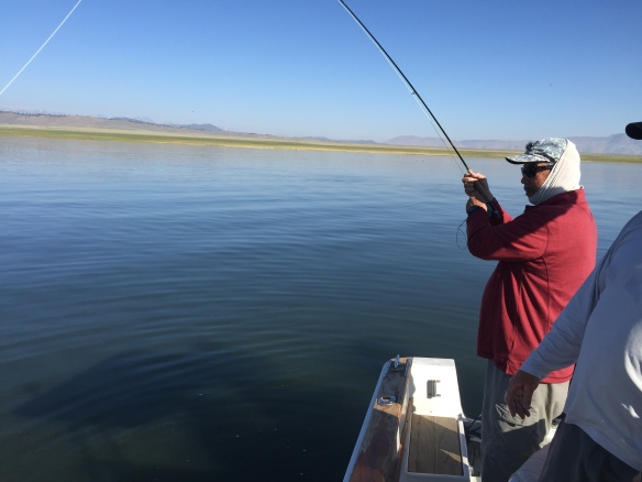 Freshwater Fishing in Rivers vs. Lakes - Fishmaster Blog
